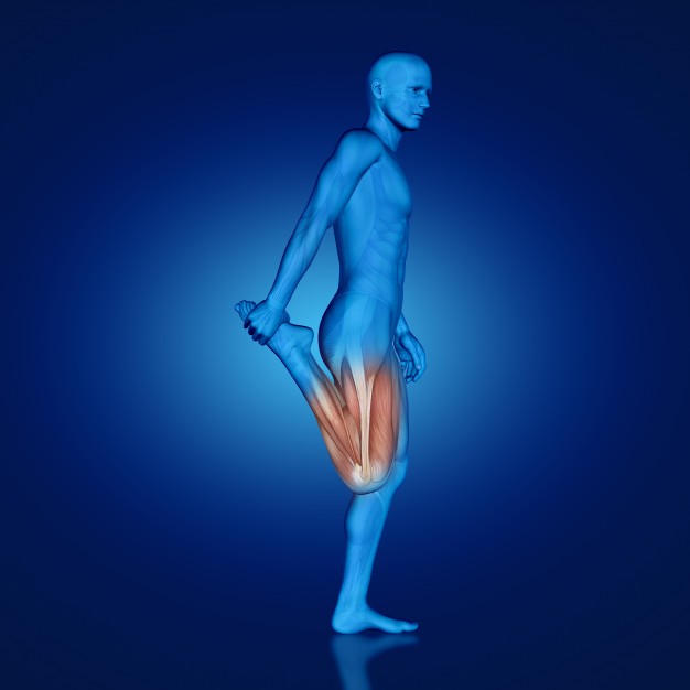 stretch-for-hip-e1515035044727 股関節の筋肉を効果的にストレッチして腰痛を悪化させない方法