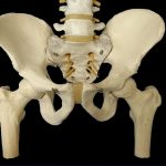 rubber 骨盤を整える腰痛解消のストレッチで生理痛も解消。膝痛も解消。